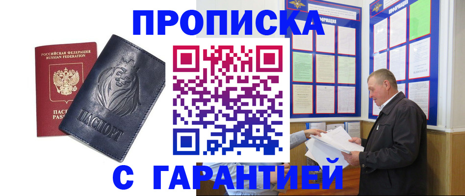 прописка поиск в Купино